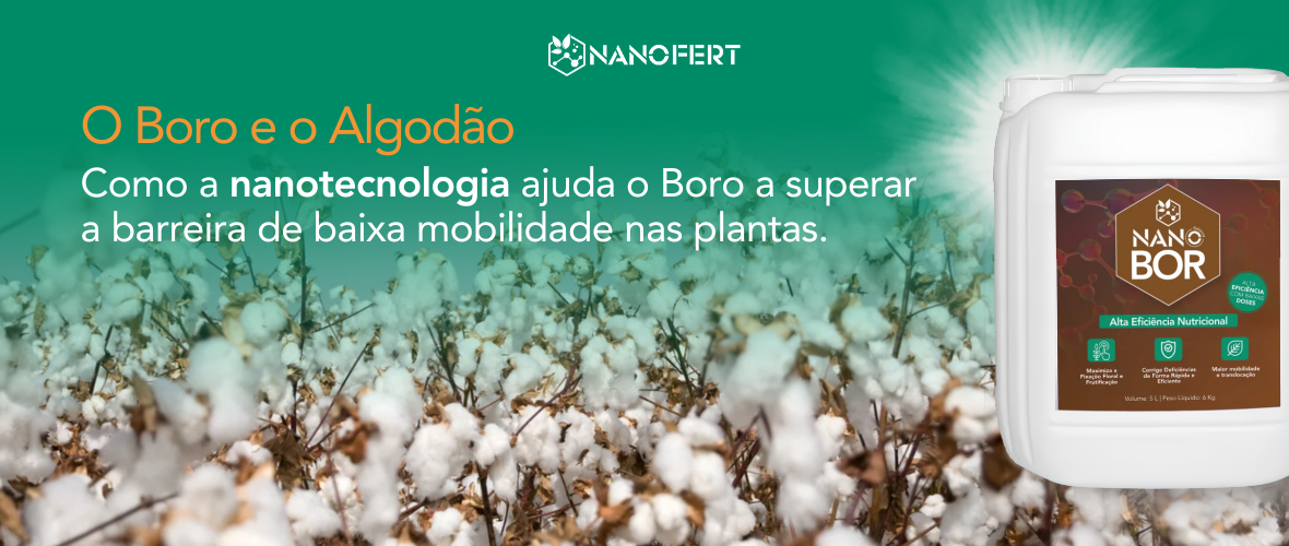 NanoBalance Bor, como a nanotecnologia supera as barreiras de mobilidade do boro na planta, resultando em mais produtividade e eficiência de uso dos nutrientes, sem desperdício.